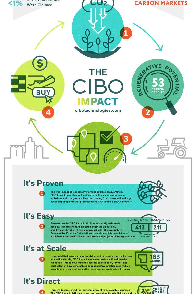 CIBO Impact