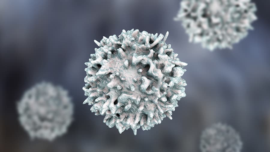 T cells