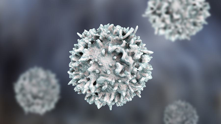 T cells