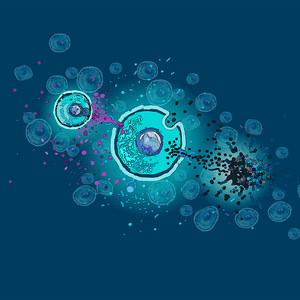 Communicating Cells A FINAL crop
