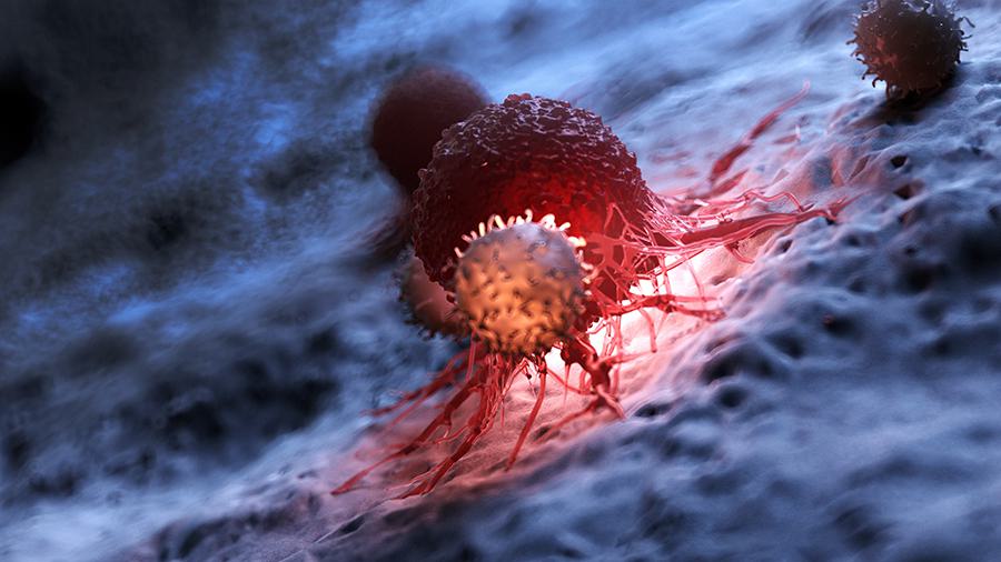 white blood cells attacking a cancer cell